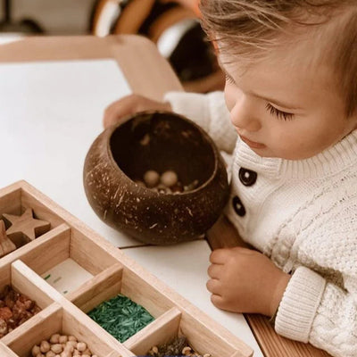 QToys Australia Natural (USA) Coconut Sensory Box