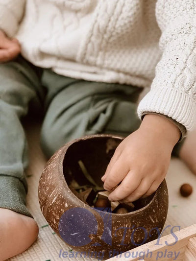 QToys Australia Natural (USA) Coconut Sensory Box