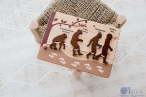 QToys Human Evolution Puzzle & Lacing Set