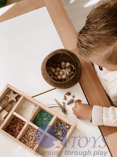 QToys Australia Natural (USA) Coconut Sensory Box