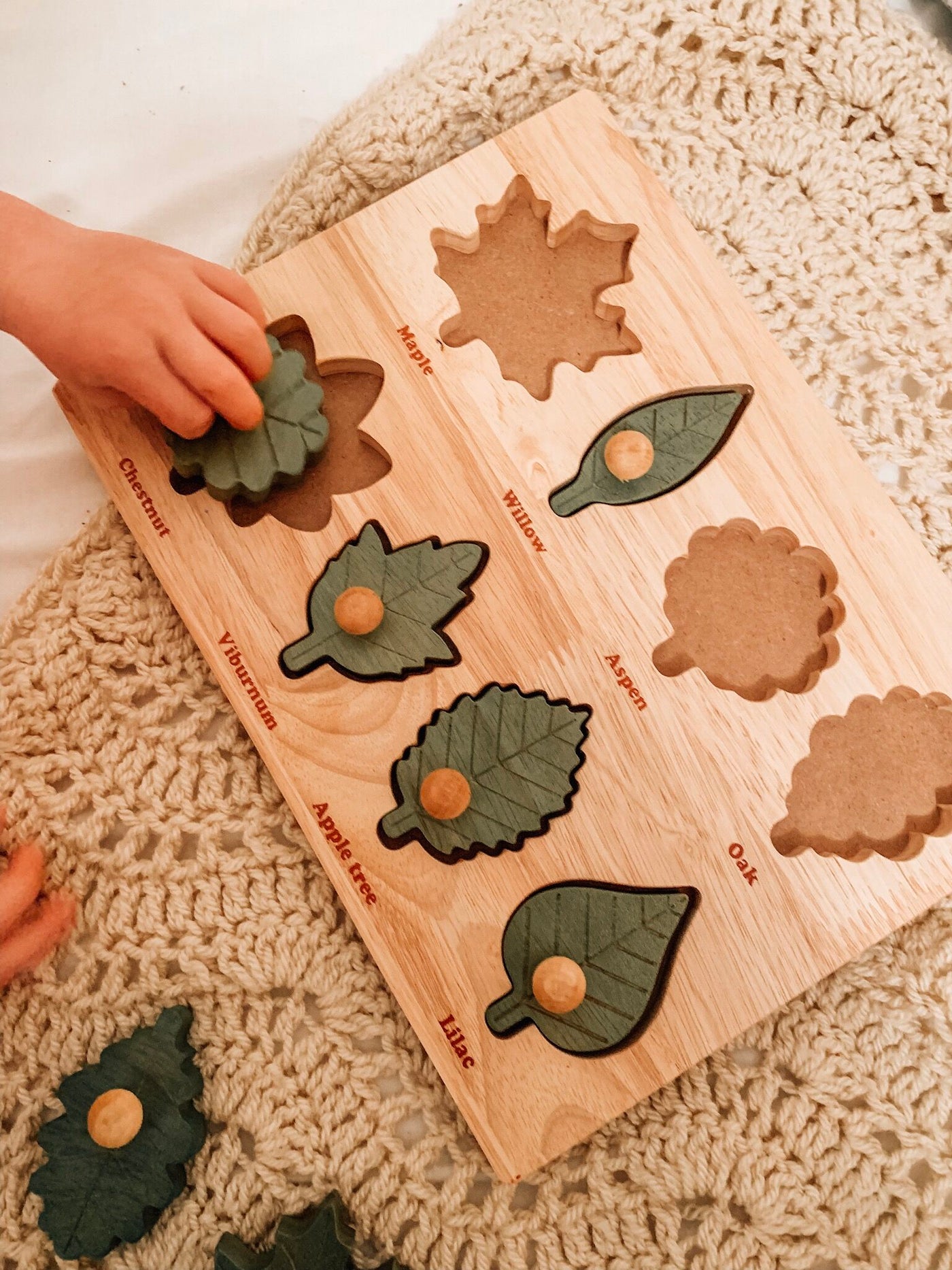 QToys Leaf puzzle