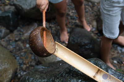 QToys Coconut Shell Water Scoop