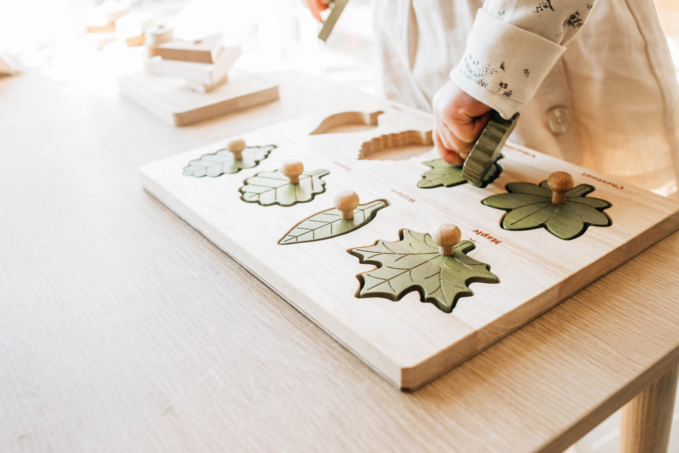 QToys Leaf puzzle