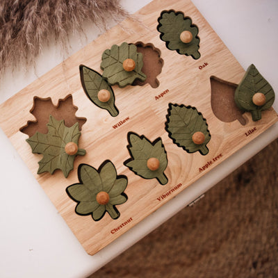 QToys Leaf puzzle